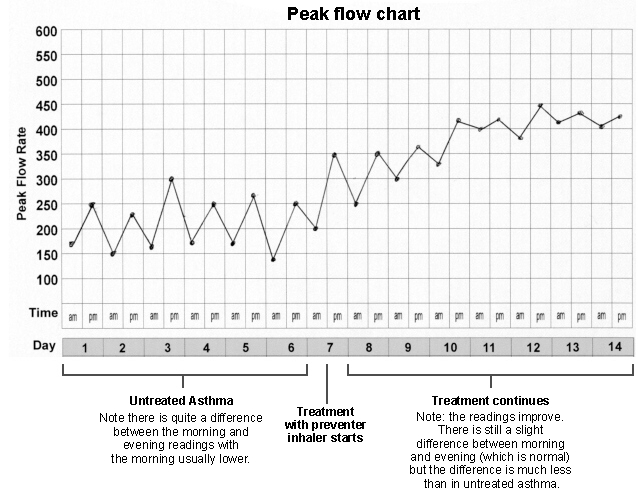 peak meter flow chart