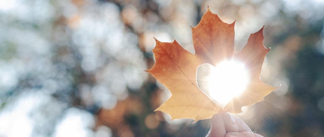 How to combat winter depression and increase your serotonin