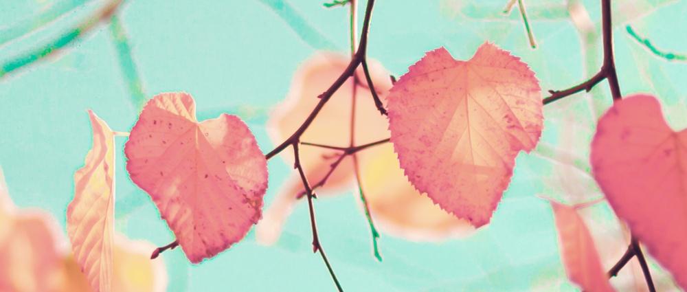 Why getting outdoors can support you through menopause