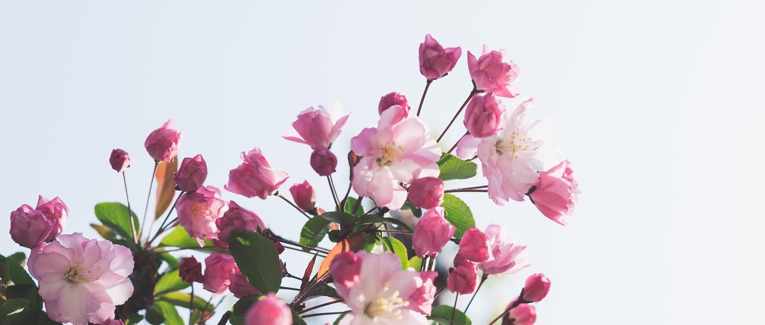 Can spring make depression worse?