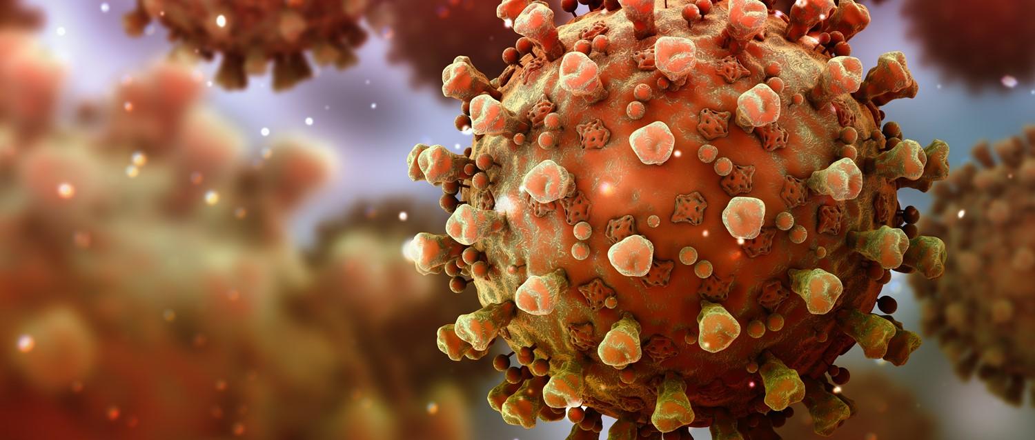 Should we be concerned about the IHU COVID-19 variant?