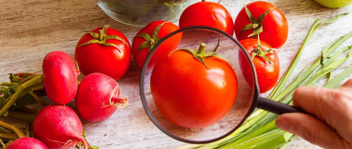 Are pesticides harmful to humans?